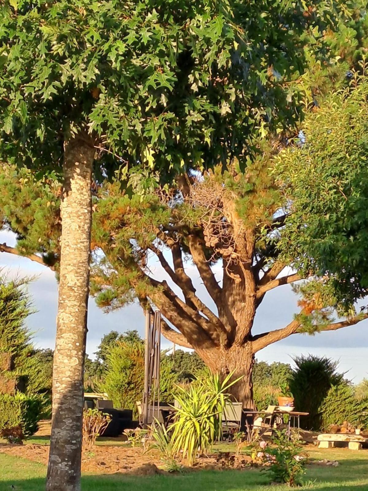 Gite En Campagne Lamegritniere المظهر الخارجي الصورة